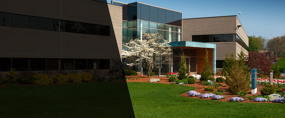 Saint Johns Landscapers