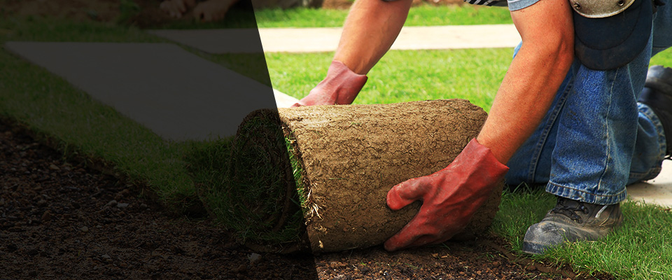 Saint Johns Landscapers